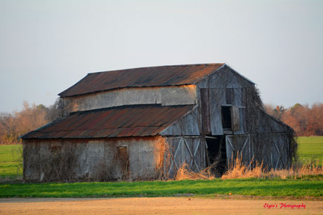 Barn